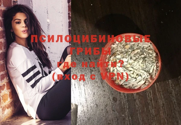 МДПВ Магас