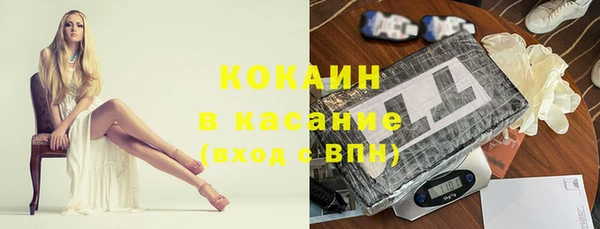 шишки Магадан