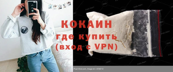 шишки Магадан