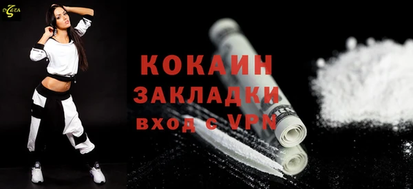 шишки Магадан