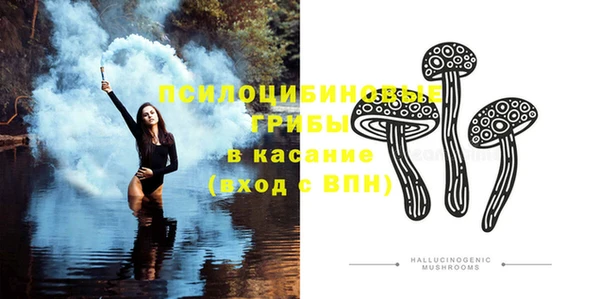 шишки Магадан