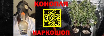 СК Рыбинск
