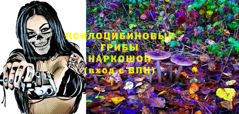 мега цена Алатырь Псилоцибиновые грибы Cubensis