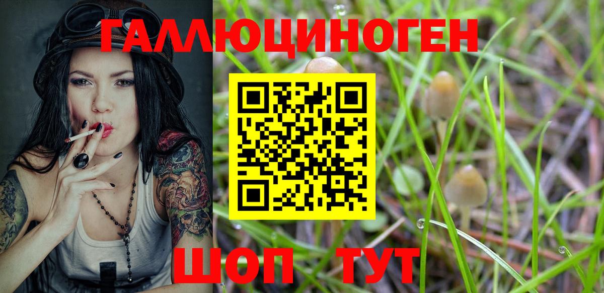 Галлюциногенные грибы GOLDEN TEACHER  Вход с VPN  Алатырь 